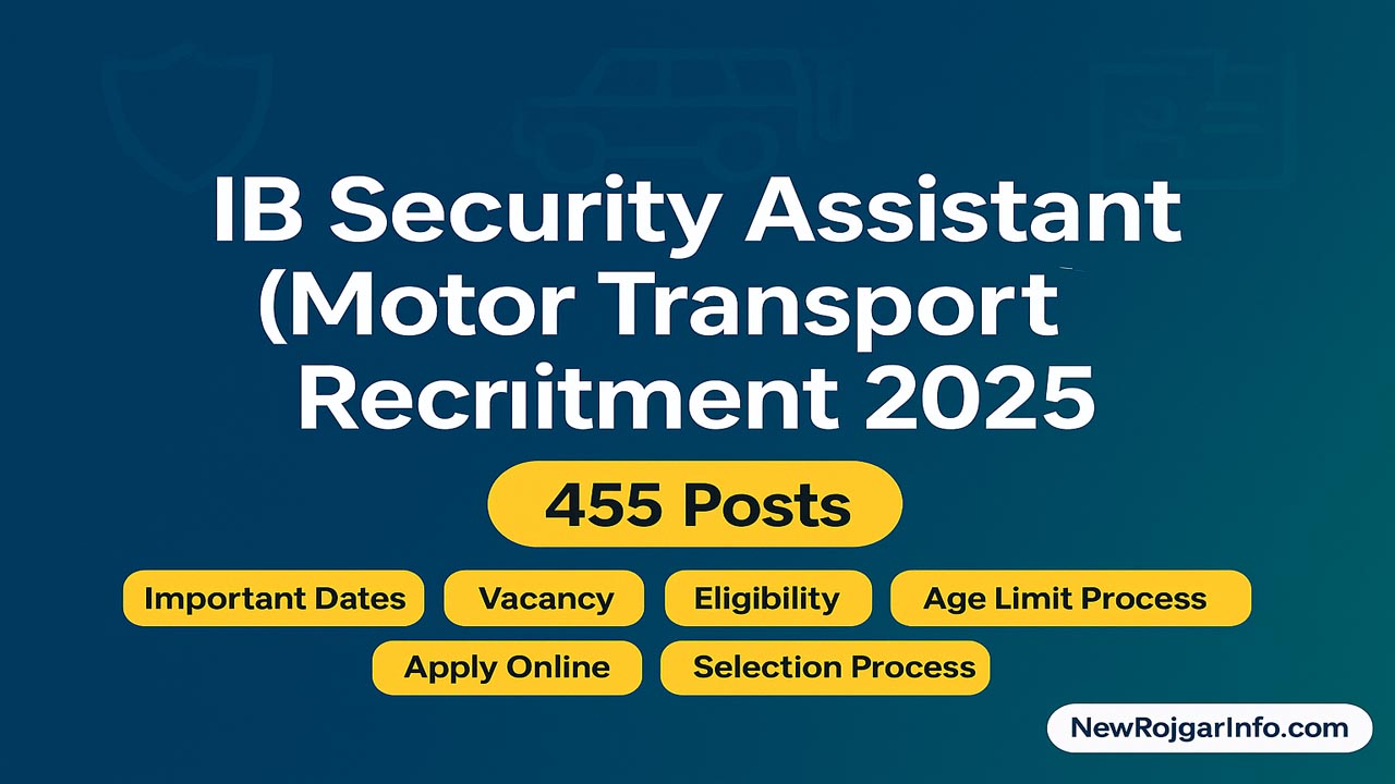 IB Security Assistant